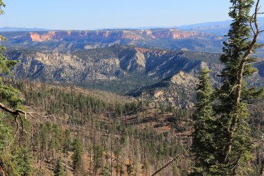 IMG_9680.jpg IMG_9680.jpg