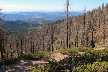 IMG_9687.jpg IMG_9687.jpg