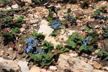 IMG_9693.jpg IMG_9693.jpg