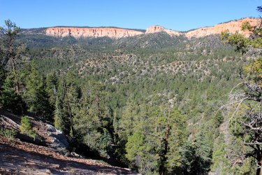 IMG_9715.jpg IMG_9715.jpg