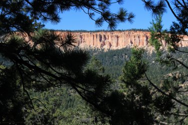 IMG_9718.jpg IMG_9718.jpg