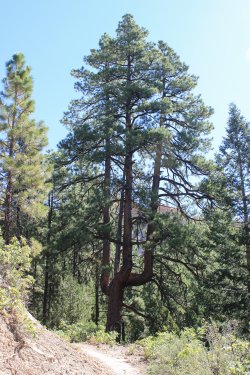 IMG_9726.jpg IMG_9726.jpg