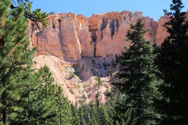 IMG_9731.jpg IMG_9731.jpg