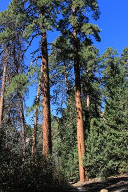 IMG_9742.jpg IMG_9742.jpg