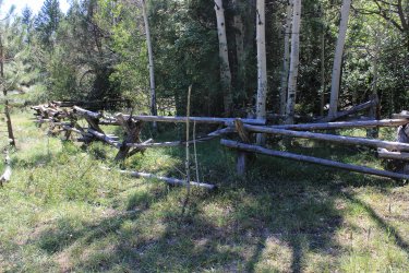 IMG_9753.jpg IMG_9753.jpg