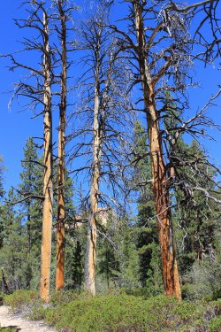 IMG_9756.jpg IMG_9756.jpg