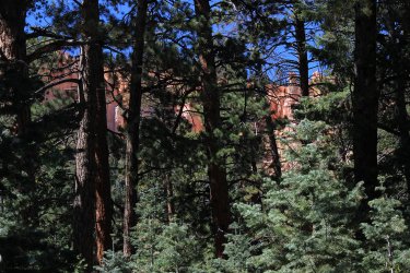 IMG_9757.jpg IMG_9757.jpg