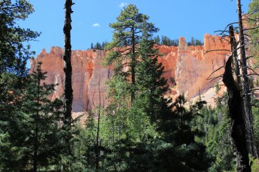 IMG_9761.jpg IMG_9761.jpg