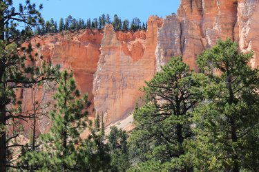 IMG_9764.jpg IMG_9764.jpg