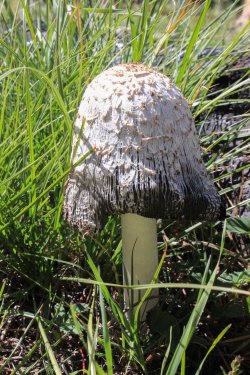 IMG_9771.jpg IMG_9771.jpg