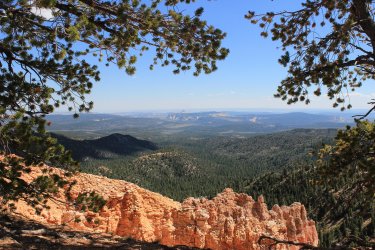 IMG_9782.jpg IMG_9782.jpg