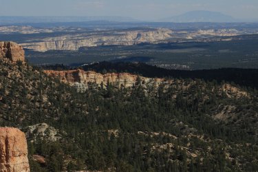 IMG_9783.jpg IMG_9783.jpg