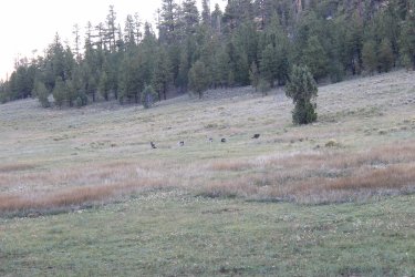 IMG_9806.jpg IMG_9806.jpg