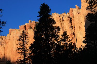 IMG_9814.jpg IMG_9814.jpg