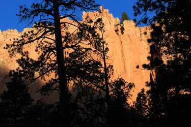 IMG_9816.jpg IMG_9816.jpg