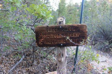 IMG_9821.jpg IMG_9821.jpg