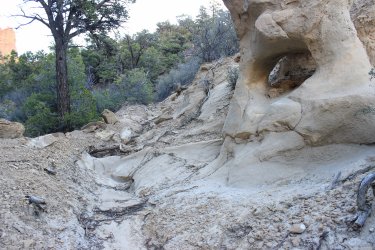 IMG_9826.jpg IMG_9826.jpg