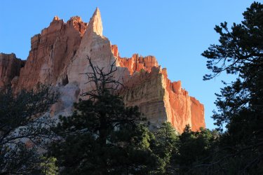 IMG_9835.jpg IMG_9835.jpg