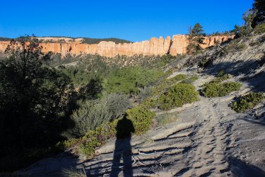 IMG_9837.jpg IMG_9837.jpg