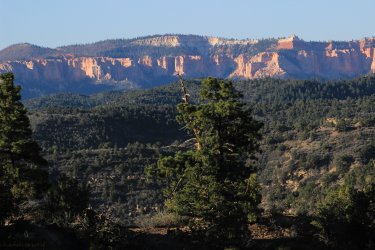 IMG_9838.jpg IMG_9838.jpg