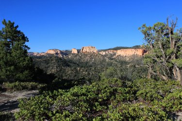 IMG_9842.jpg IMG_9842.jpg