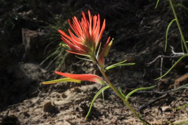 IMG_9845.jpg IMG_9845.jpg