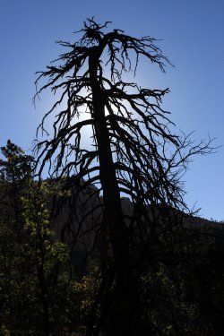 IMG_9853.jpg IMG_9853.jpg