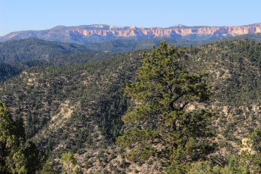 IMG_9865.jpg IMG_9865.jpg