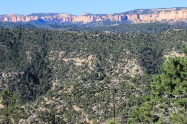 IMG_9866.jpg IMG_9866.jpg