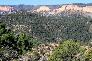 IMG_9867.jpg IMG_9867.jpg