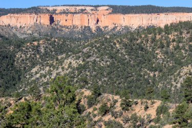 IMG_9868.jpg IMG_9868.jpg