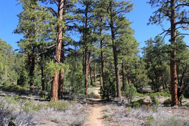 IMG_9874.jpg IMG_9874.jpg