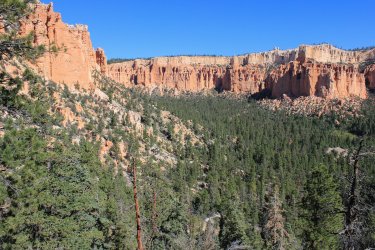 IMG_9877.jpg IMG_9877.jpg