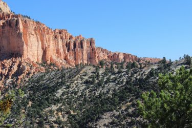 IMG_9879.jpg IMG_9879.jpg