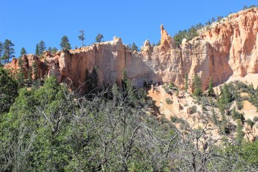 IMG_9884.jpg IMG_9884.jpg