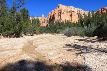 IMG_9888.jpg IMG_9888.jpg