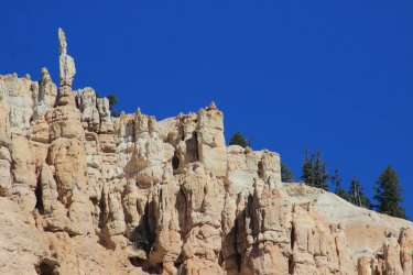 IMG_9893.jpg IMG_9893.jpg