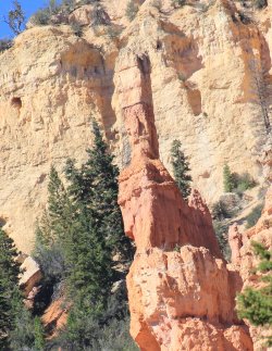 IMG_9895.jpg IMG_9895.jpg