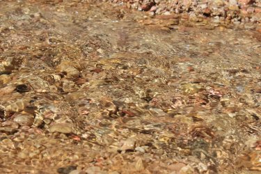 IMG_9897.jpg IMG_9897.jpg