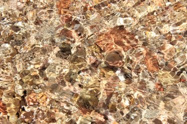 IMG_9899.jpg IMG_9899.jpg