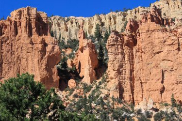 IMG_9904.jpg IMG_9904.jpg