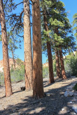 IMG_9910.jpg IMG_9910.jpg