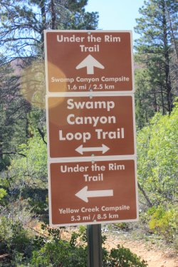 IMG_9931.jpg IMG_9931.jpg