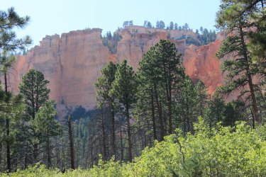 IMG_9932.jpg IMG_9932.jpg