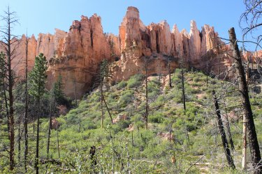 IMG_9934.jpg IMG_9934.jpg