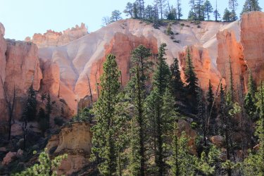 IMG_9940.jpg IMG_9940.jpg