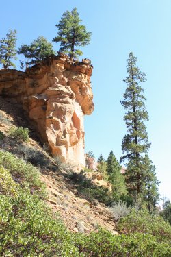 IMG_9942.jpg IMG_9942.jpg