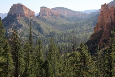 IMG_9946.jpg IMG_9946.jpg