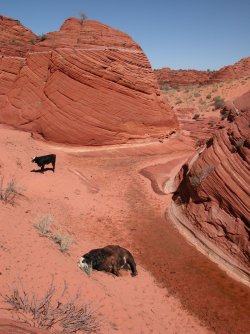 4721683A-0067-4969-B0B2-B5EAA25A1E5C.JPG 4721683A-0067-4969-B0B2-B5EAA25A1E5C.JPG