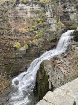 653EFE94-6887-4531-852B-1093D5046373.jpeg 653EFE94-6887-4531-852B-1093D5046373.jpeg